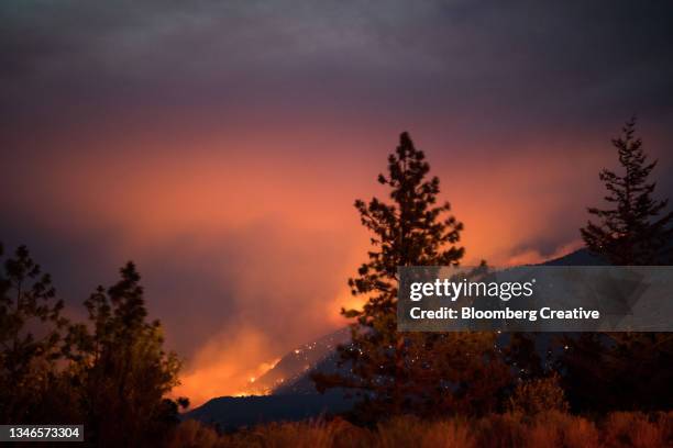 canada wildfires - incendio forestal fotografías e imágenes de stock