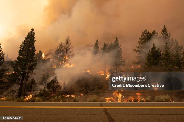 california wildfires - forest fire close up stock pictures, royalty-free photos & images