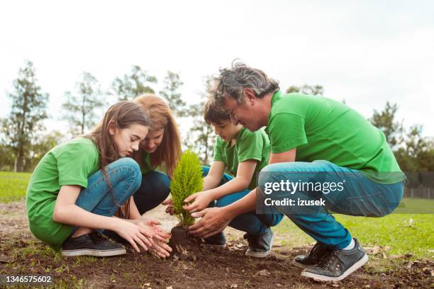 volunteers planting together in public park - nationale-boomfeestdag stockfoto's en -beelden