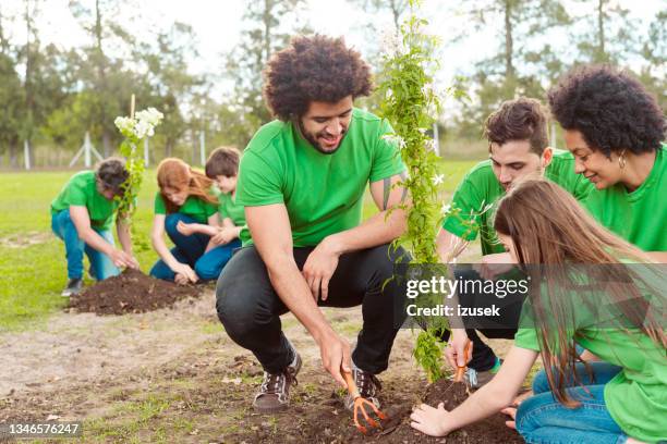 volunteers planting together in public park - gardening fork stock pictures, royalty-free photos & images