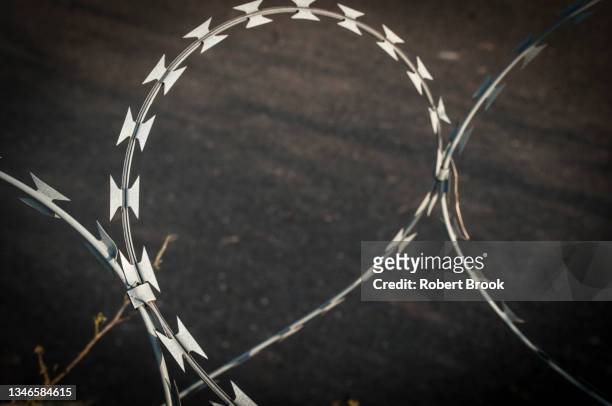 close-up of razor wire on top of security fence - razor wire stock pictures, royalty-free photos & images