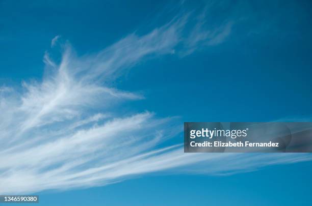 full frame of the low angle view of white color clouds with a blue sky. cirrostratus clouds - 巻雲 ストックフォトと画像