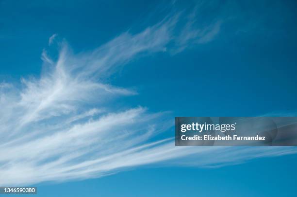 full frame of the low angle view of white color clouds with a blue sky. cirrostratus clouds - 高層雲 個照片及圖片檔