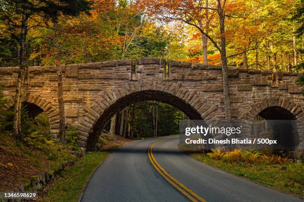 view of arch bridge against trees,bar harbor,maine,united states,usa - insel mount desert island stock-fotos und bilder