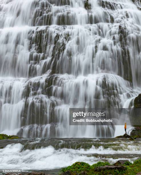 dynjandi wasserfall, island - westfjorde island stock-fotos und bilder