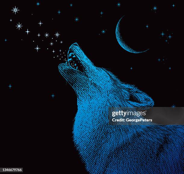 bildbanksillustrationer, clip art samt tecknat material och ikoner med gray wolf howling at the moon - yla