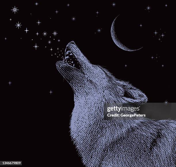 gray wolf howling at the moon - howling stock illustrations