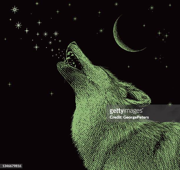 bildbanksillustrationer, clip art samt tecknat material och ikoner med gray wolf howling at the moon - yla