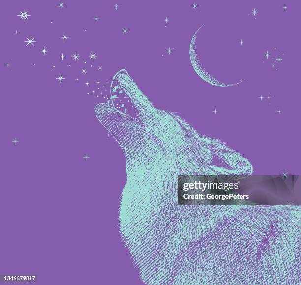 75点の狼 目イラスト素材 Getty Images 75点の狼 目イラスト素材 Getty Images