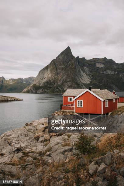red rorbu on the shore of the fjord in loften, norway - island hut stock pictures, royalty-free photos & images