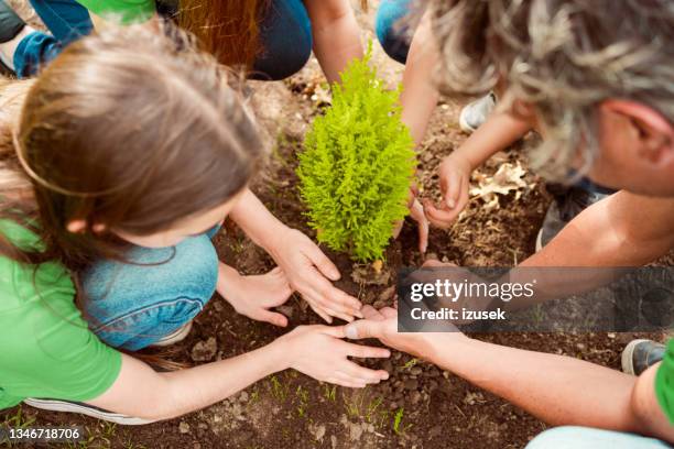 famiglia che pianta insieme nel parco - family planting tree foto e immagini stock