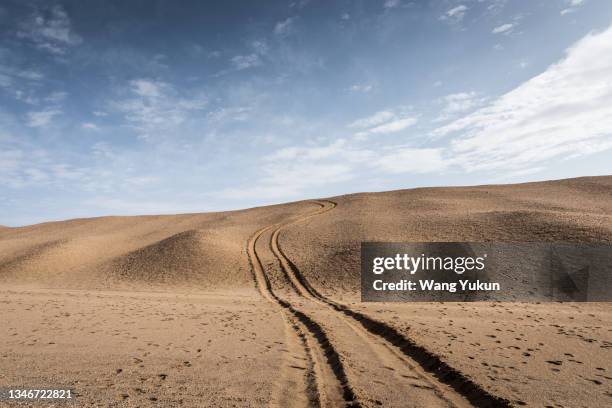 tire tracks in the desert - jeep desert stock pictures, royalty-free photos & images