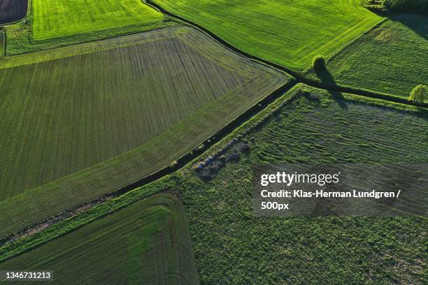 aerial view of agricultural field,sweden - jordbruk 個照片及圖片檔