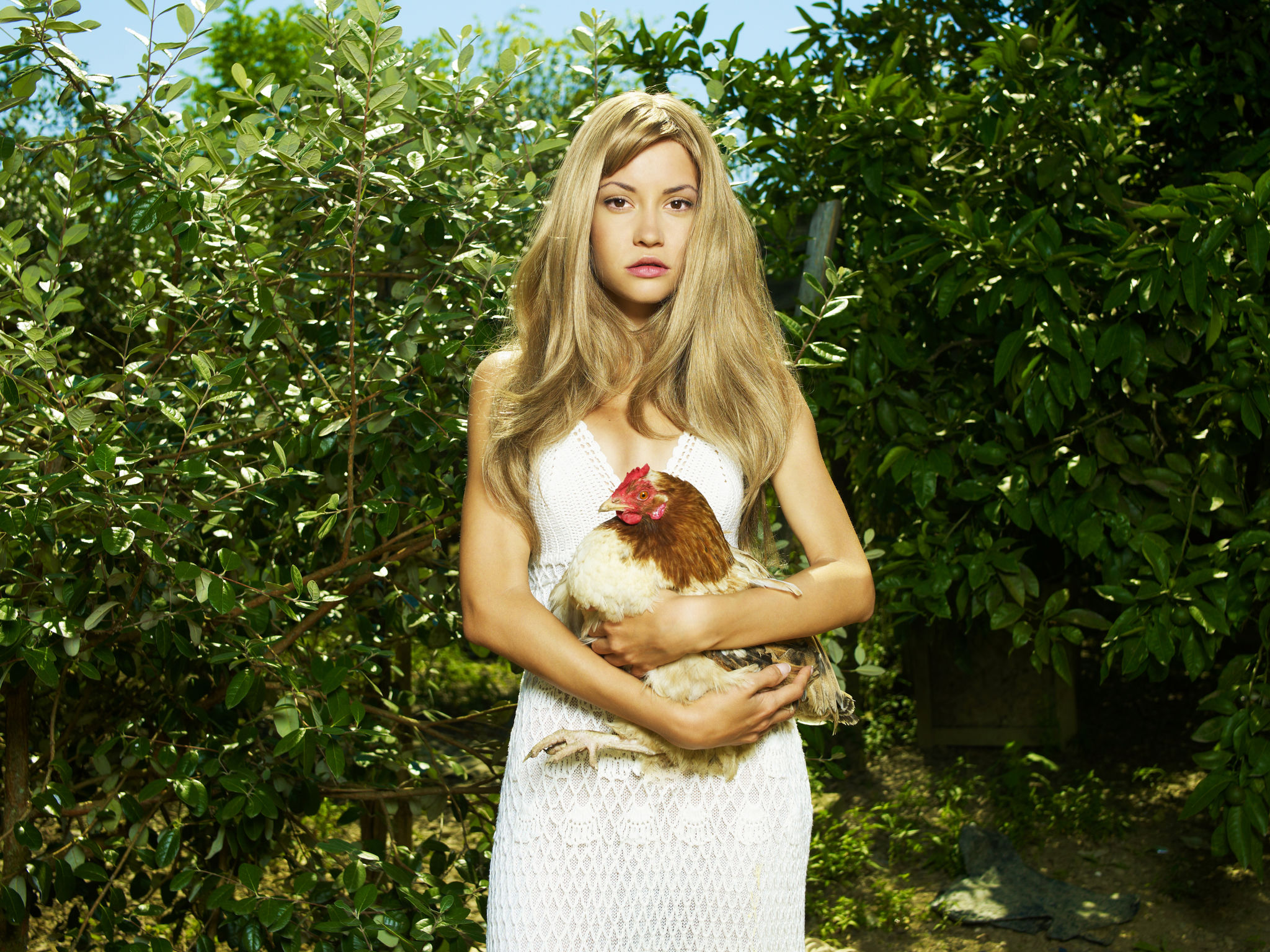 Beautiful woman with a pet - Chicken Beautiful woman with a pet - Chicken