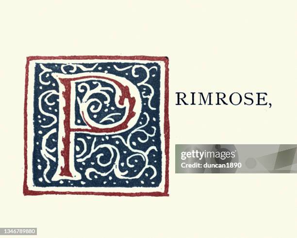 ornate capital letter p design, initial, primrose, victorian style - p stock illustrations