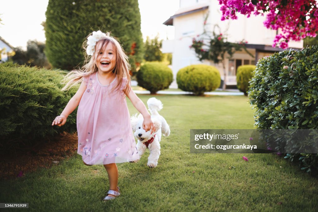 Lovely girl on a walk with a beautiful dog in a home garden
