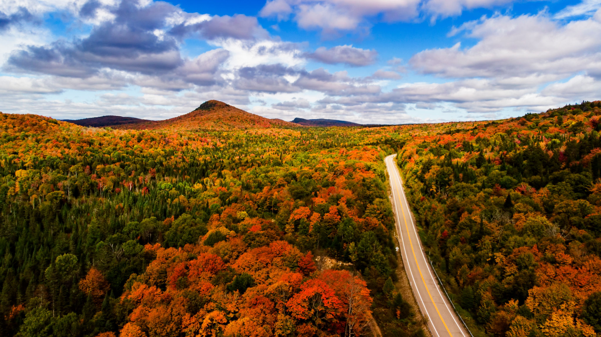 drone autumn
