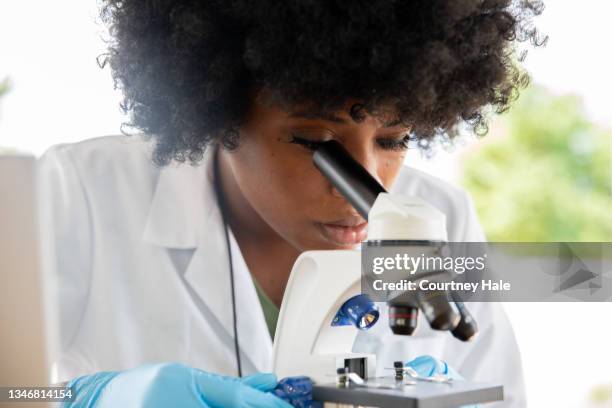 4,644 Student Looking Into Microscope Stock Photos, High-Res Pictures ...