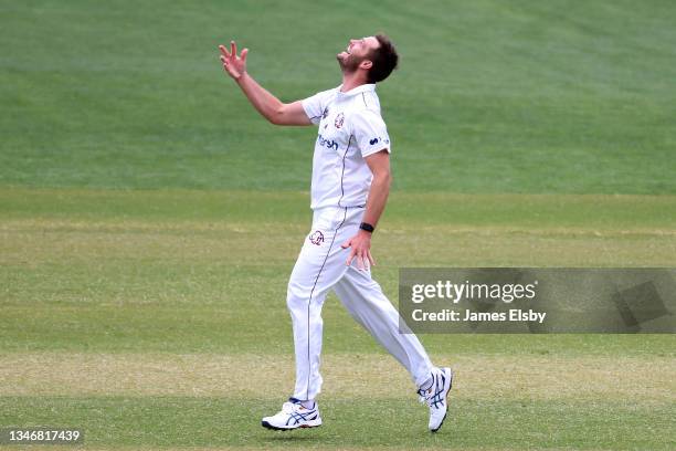 Mark Steketee of the Queensland Bulls celebrates the wicket of Travis Head of the South Australian Redbacks during day two of the Sheffield Shield...