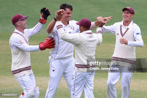 James Bazley of the Queensland Bulls celebraters the wicket of Alex Carey of the South Australian Redbacks during day two of the Sheffield Shield...