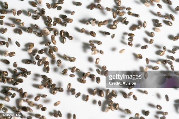 chia seed flying in mid air in white background - chia seed stock-fotos und bilder