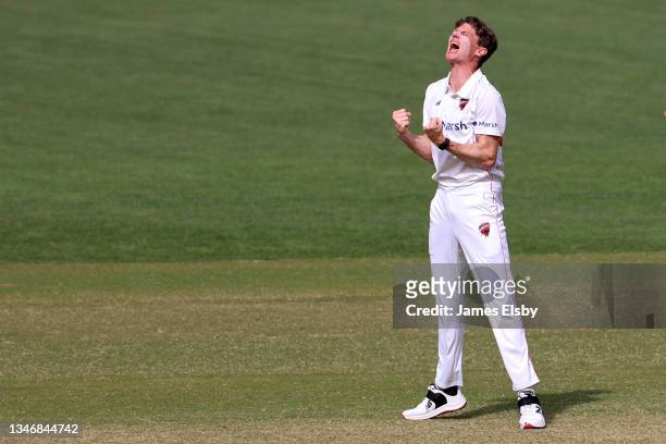 Brendan Doggett of the South Australian Redbacks celebrates the wicket of Joe Burns of the Queensland Bulls during day two of the Sheffield Shield...