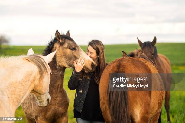 caring young female farmer kissing her horses in a farm pasture - föl bildbanksfoton och bilder