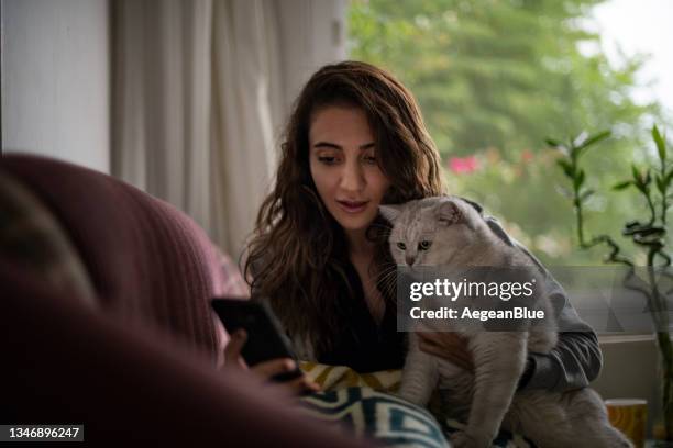 young woman making a video call with her cat - cat video stock pictures, royalty-free photos & images