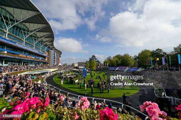 General view during the Qipco British Champions Day at Ascot Racecourse on October 16, 2021 in Ascot, England.