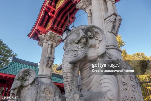 das elefantentor: der eingang zum zoo in berlin, deutschland - berlin zoo stock-fotos und bilder