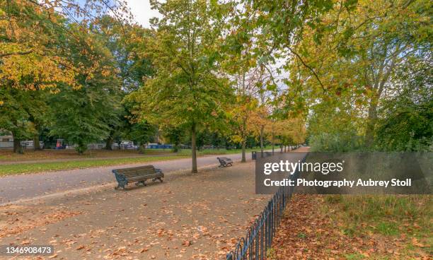 autumn road - victoria park london stockfoto's en -beelden