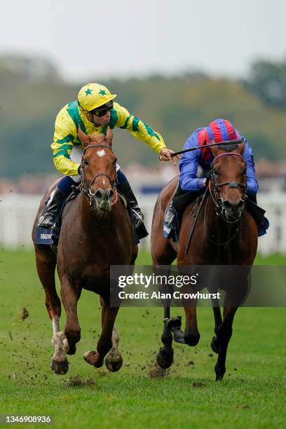 Mickael Barzalona riding Sealiway win The Qipco Champion Stakes during the Qipco British Champions Day at Ascot Racecourse on October 16, 2021 in...