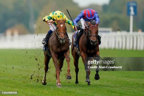 Mickael Barzalona riding Sealiway win The Qipco Champion Stakes during the Qipco British Champions Day at Ascot Racecourse on October 16, 2021 in...