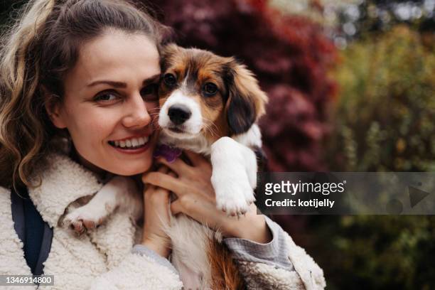 autumn with a puppy - bagpack stock pictures, royalty-free photos & images