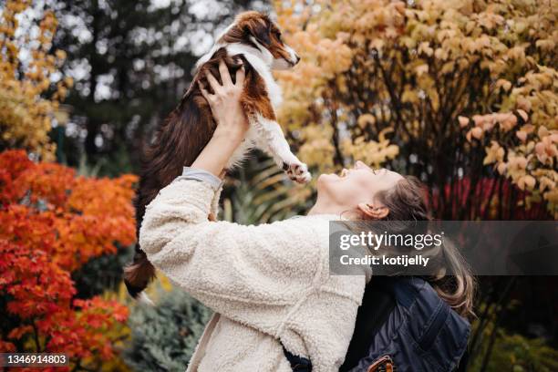 autumn with a puppy - bagpack stock pictures, royalty-free photos & images