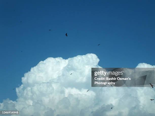 cloudscape / moody sky over karachi - astronomy bird stock pictures, royalty-free photos & images