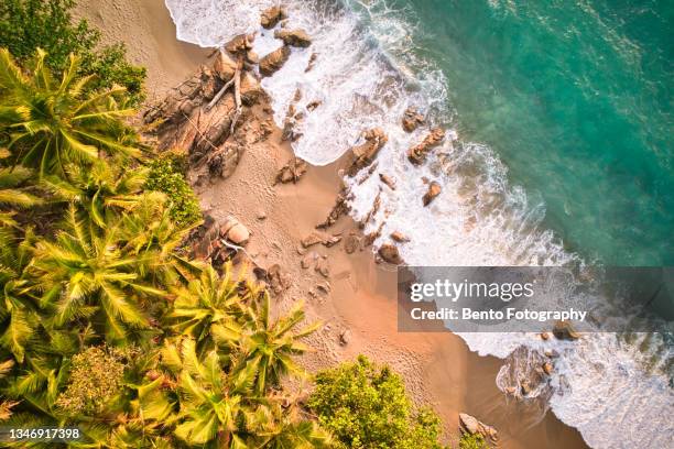 aerial view of beautiful sand beach with tropical coconut palm tree when sunset, phuket, thailand. - phuket island stock pictures, royalty-free photos & images