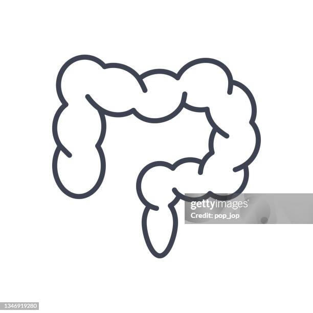 intestines. colon. human organs anatomy - line icon. vector stock illustration - colon stock illustrations