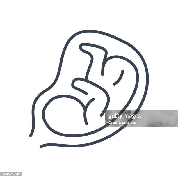 embryo. anatomie der menschlichen organe - liniensymbol. vektor-stock-illustration - human embryo stock-grafiken, -clipart, -cartoons und -symbole