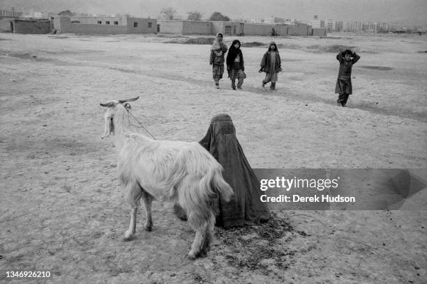 View of a woman, dressed in a burka, as she sits on the ground holding a long-haired goat on a leash, Kabul, Kabul Province, Afghanistan, October...