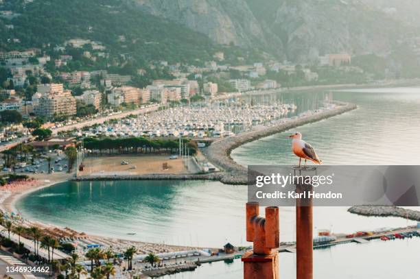 an elevated sunrise view of menton, france -  stock photo - 車海老料理 個照片及圖片檔