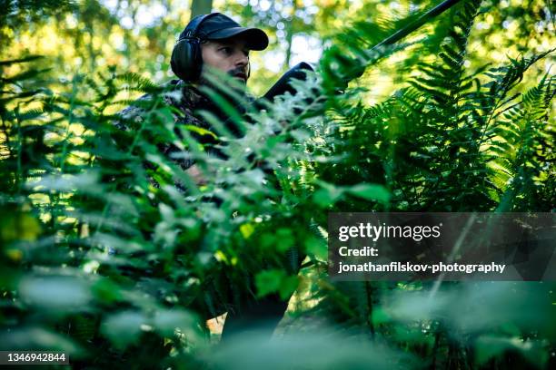 hunter with rifle stalking deer - stalking animal hunting stockfoto's en -beelden