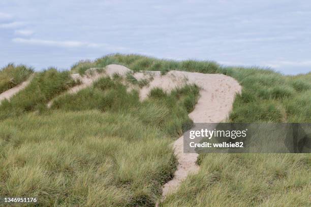 foot prints over formby sand dunes - grass hill stock pictures, royalty-free photos & images