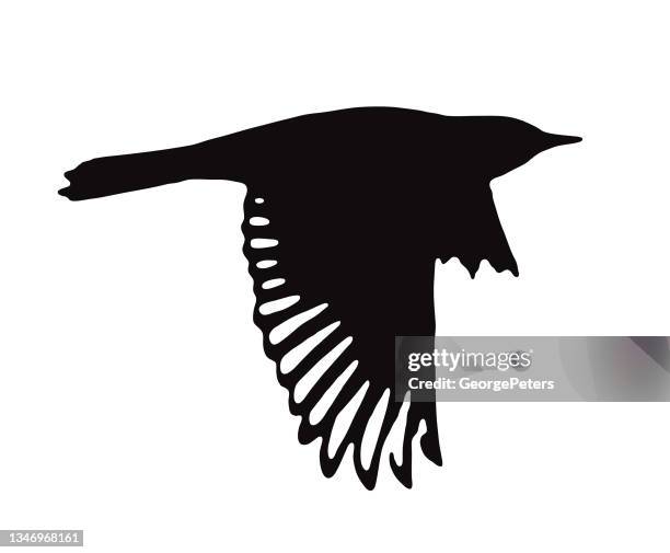 Flying Bird Outline Photos and Premium High Res Pictures - Getty Images