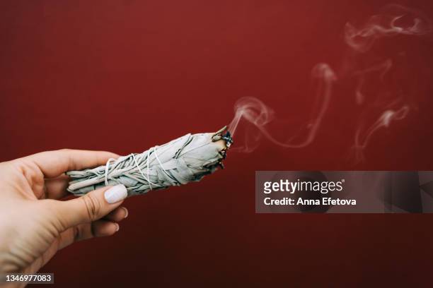 woman is holding in a hand smoldering white sage on red background. process of room fumigation ritual. copy space for your design. front view - fumigation stock-fotos und bilder
