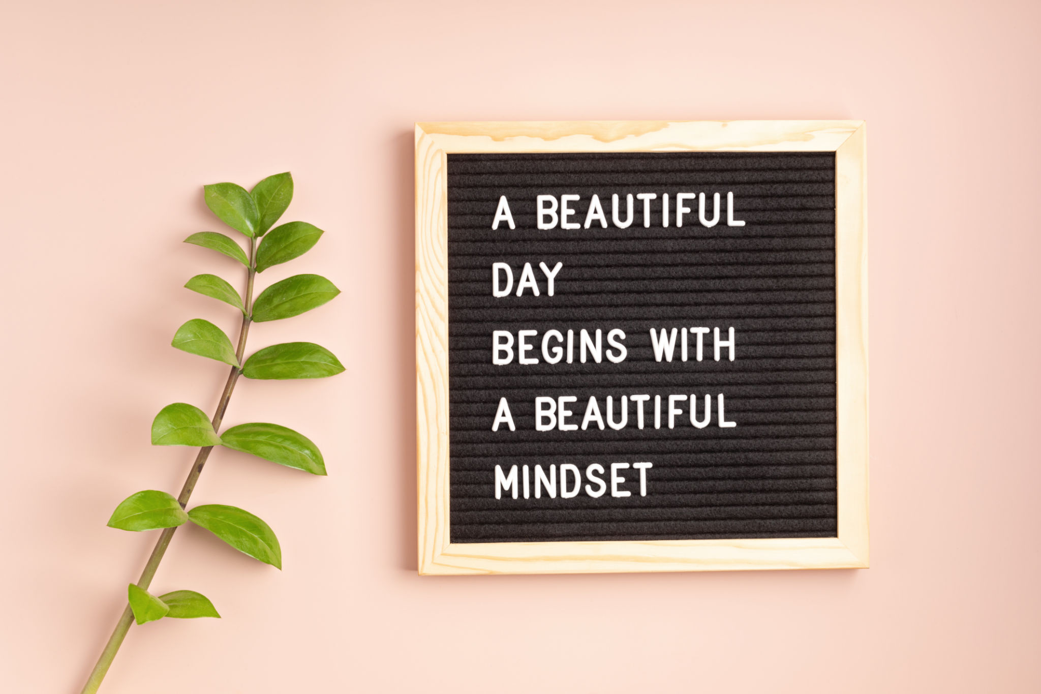 Felt letter board with text beautiful day begins with beautiful mindset. Mental health idea Felt letter board with text beautiful day begins with beautiful mindset. Mental health idea