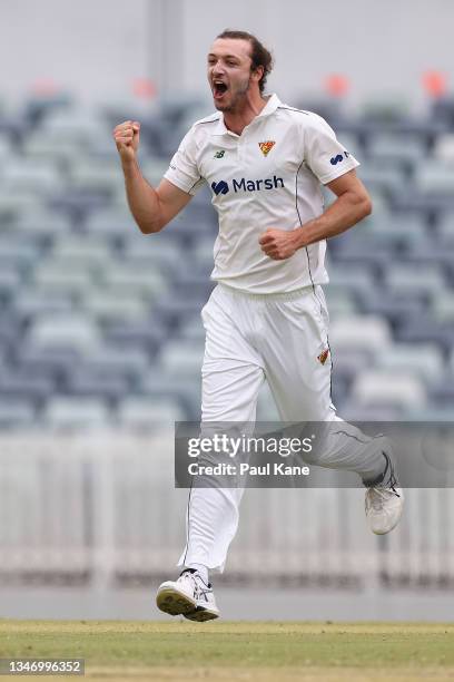 Gabe Bell of Tasmania celebrates the wicket of Cameron Bancroft of Western Australia during day one of the Sheffield Shield match between Western...
