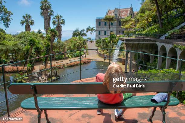 young boy relaxing on the beanch, fountain in the monte palace garden located in funchal, madeira island, portugal - madeira portugal imagens e fotografias de stock