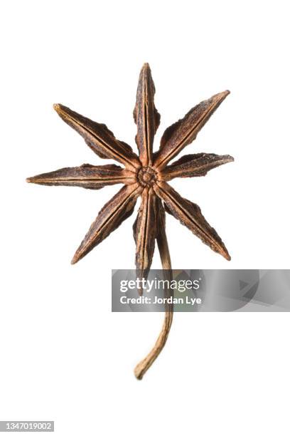 star anise pod isolated on a white background. - anis stock-fotos und bilder