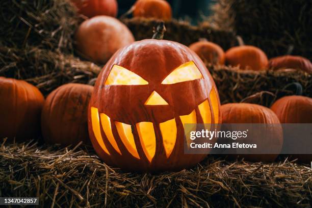 pumpkin with spooky illuminated carved face with lightening among many pumpkins on haystacks. halloween celebration concept. night with beautiful garland lightening. - scary pumpkin faces stock pictures, royalty-free photos & images